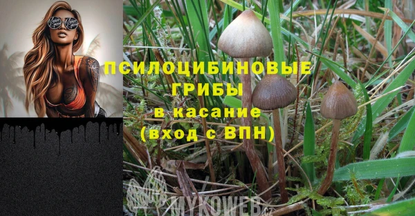 меф Баксан