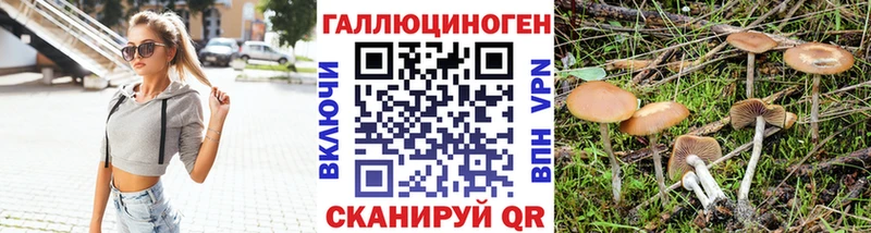 Галлюциногенные грибы Psilocybine cubensis  Козельск 